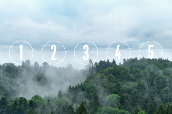 Emballages de médicaments : 5 leviers de rentabilité insoupçonnés pour les pharmacies